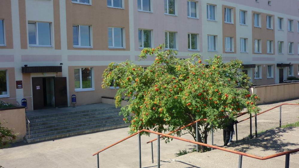 График работы ГБУЗ "Белинская РБ" с 01.11.202г по 04.11.2025г.